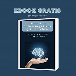 EBOOK: Estados de ánimo negativos y el cerebro